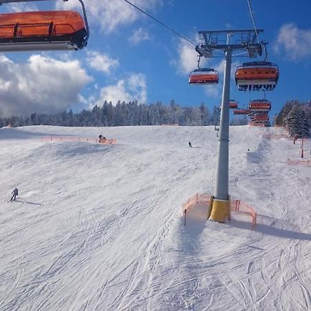 Willa Male Alpy 300 M Od Kompleksow Narciarskich Krynica-Zdrój Extérieur photo