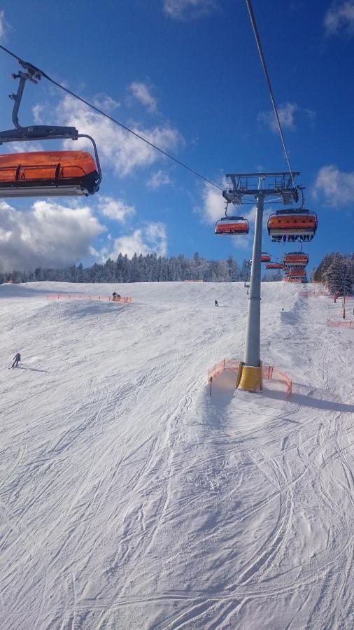 Willa Male Alpy 300 M Od Kompleksow Narciarskich Krynica-Zdrój Extérieur photo