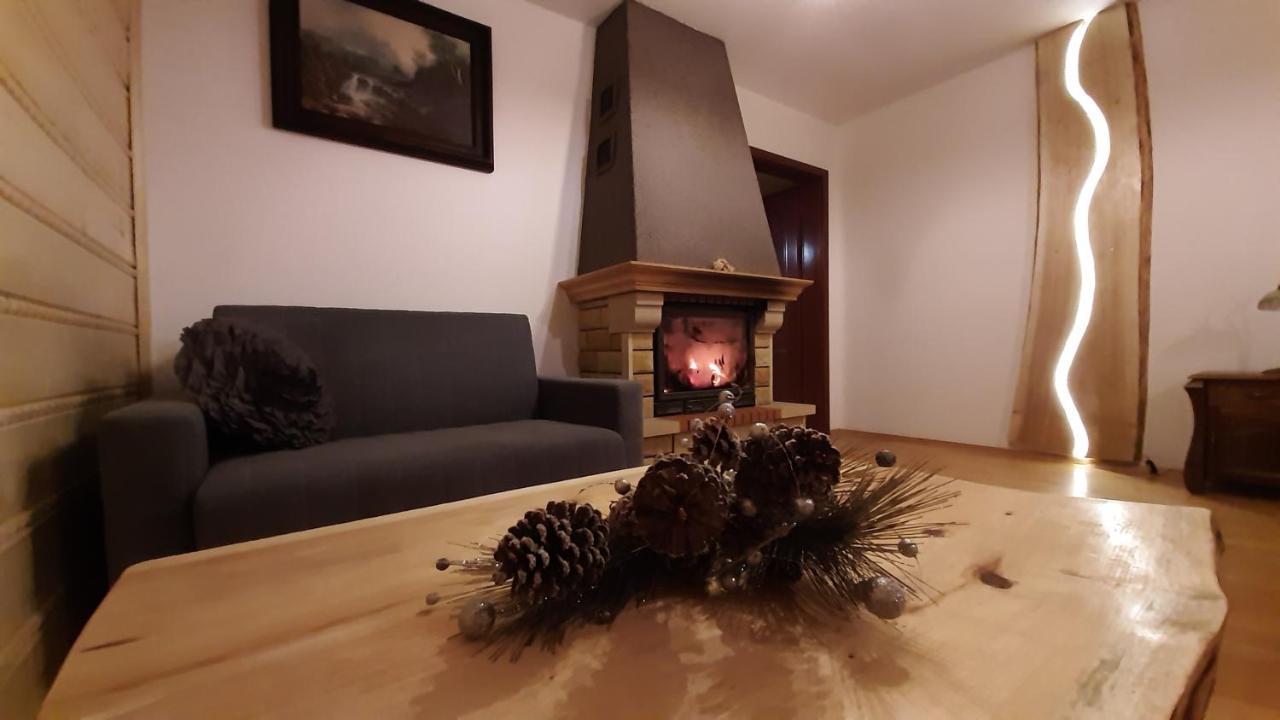 Willa Male Alpy 300 M Od Kompleksow Narciarskich Krynica-Zdrój Extérieur photo