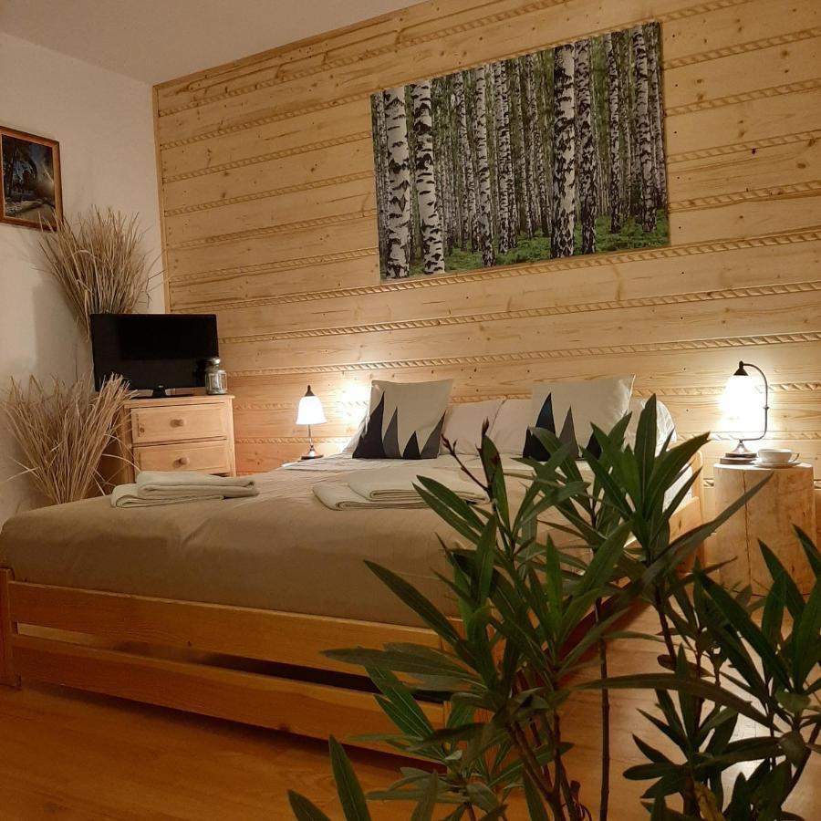 Willa Male Alpy 300 M Od Kompleksow Narciarskich Krynica-Zdrój Extérieur photo