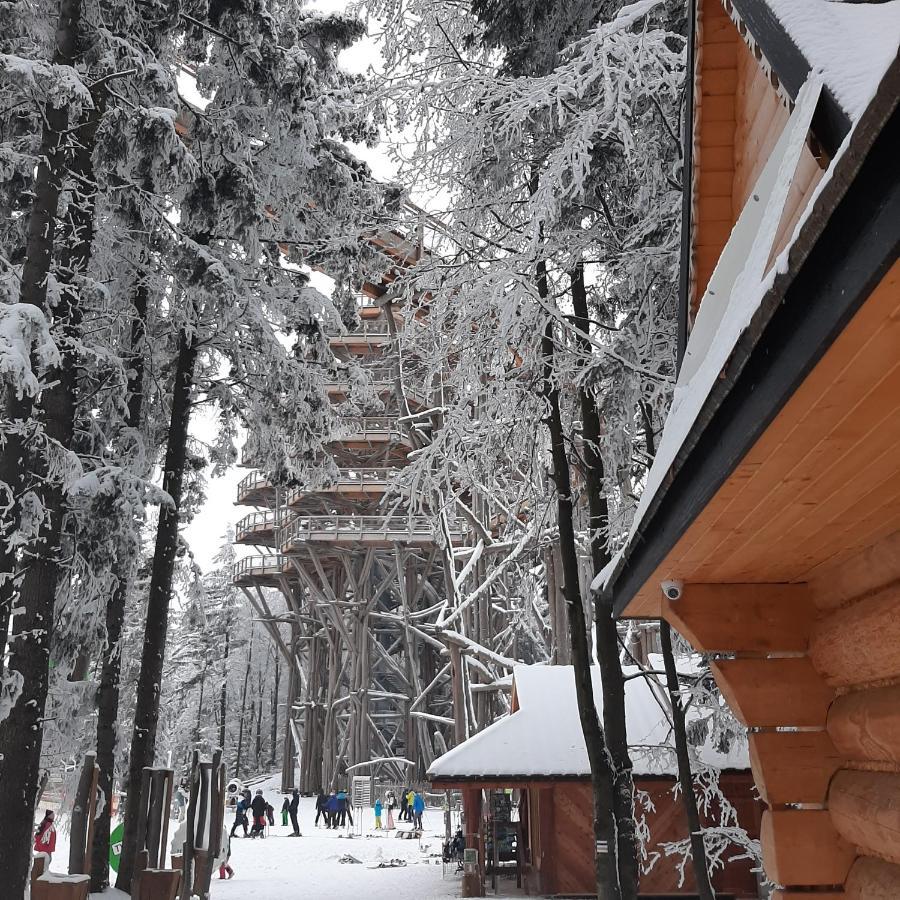 Willa Male Alpy 300 M Od Kompleksow Narciarskich Krynica-Zdrój Extérieur photo