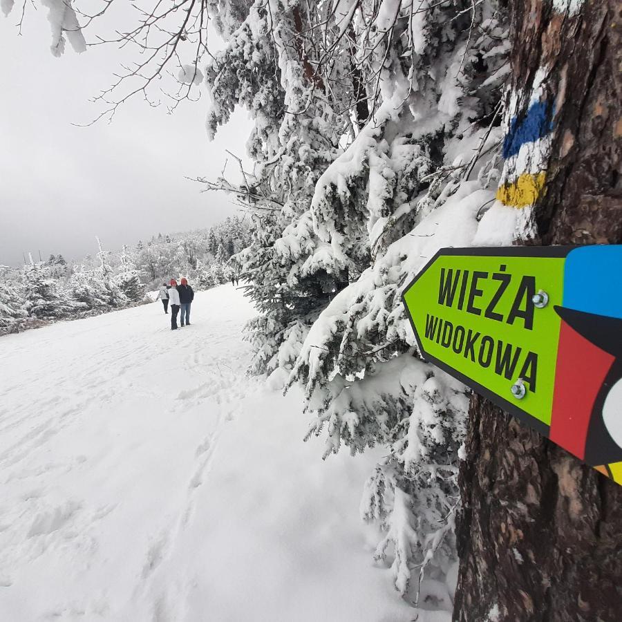 Willa Male Alpy 300 M Od Kompleksow Narciarskich Krynica-Zdrój Extérieur photo