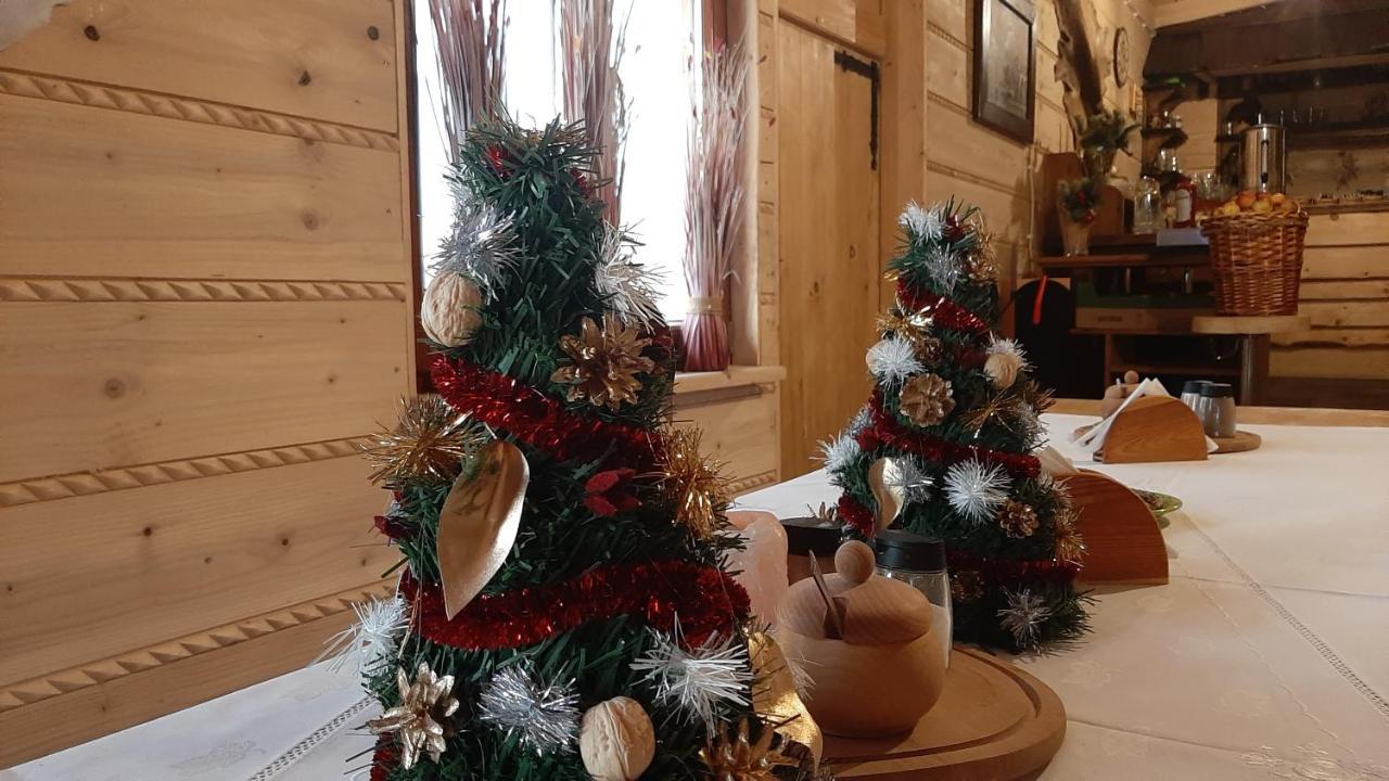 Willa Male Alpy 300 M Od Kompleksow Narciarskich Krynica-Zdrój Extérieur photo
