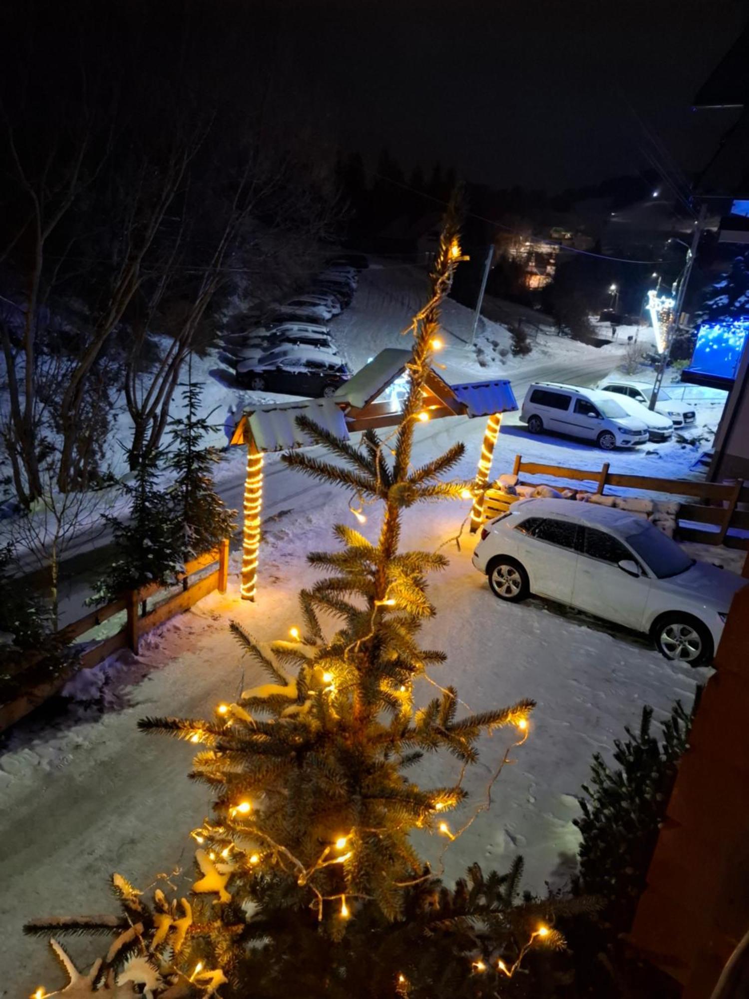 Willa Male Alpy 300 M Od Kompleksow Narciarskich Krynica-Zdrój Extérieur photo