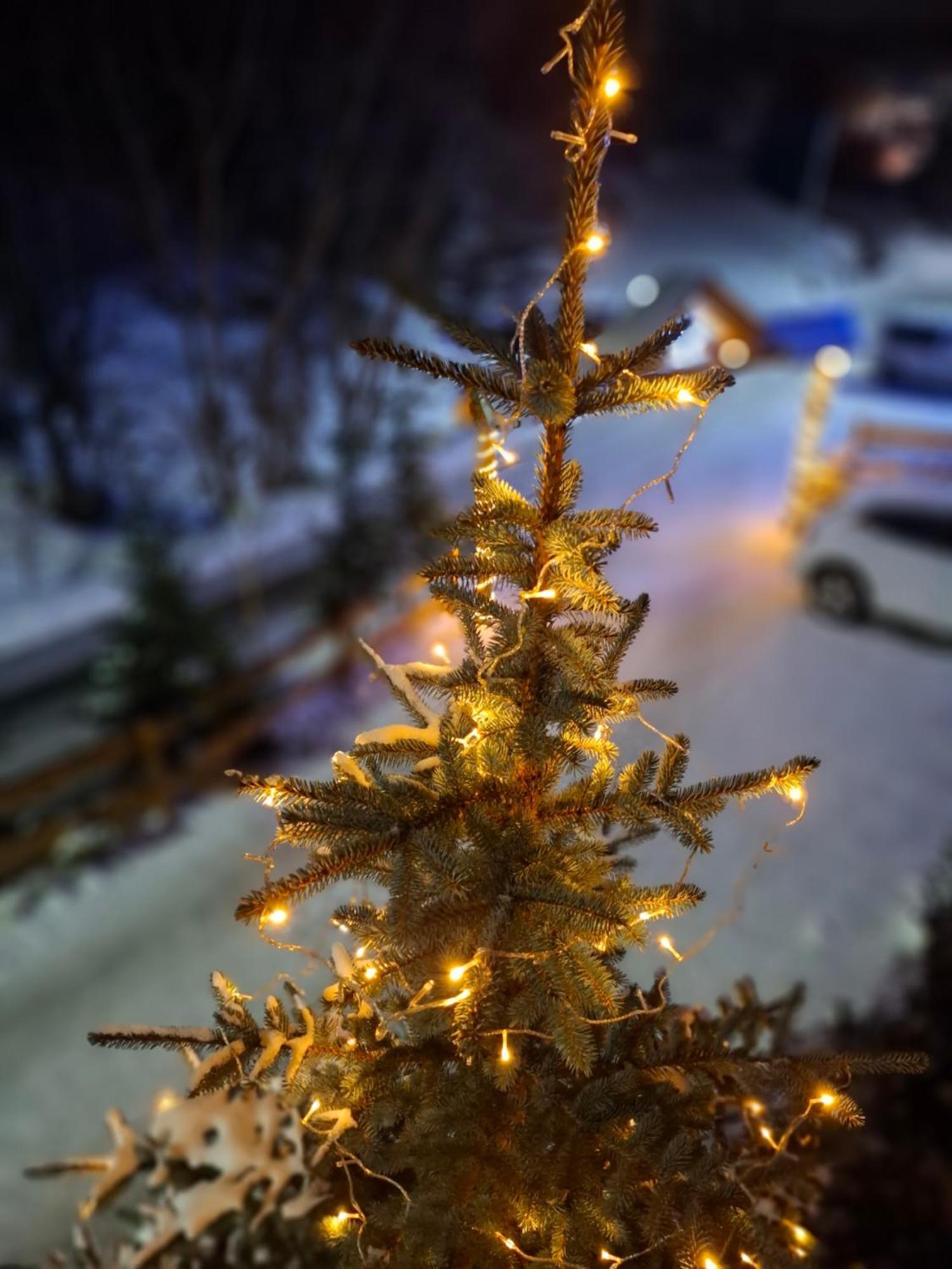 Willa Male Alpy 300 M Od Kompleksow Narciarskich Krynica-Zdrój Extérieur photo
