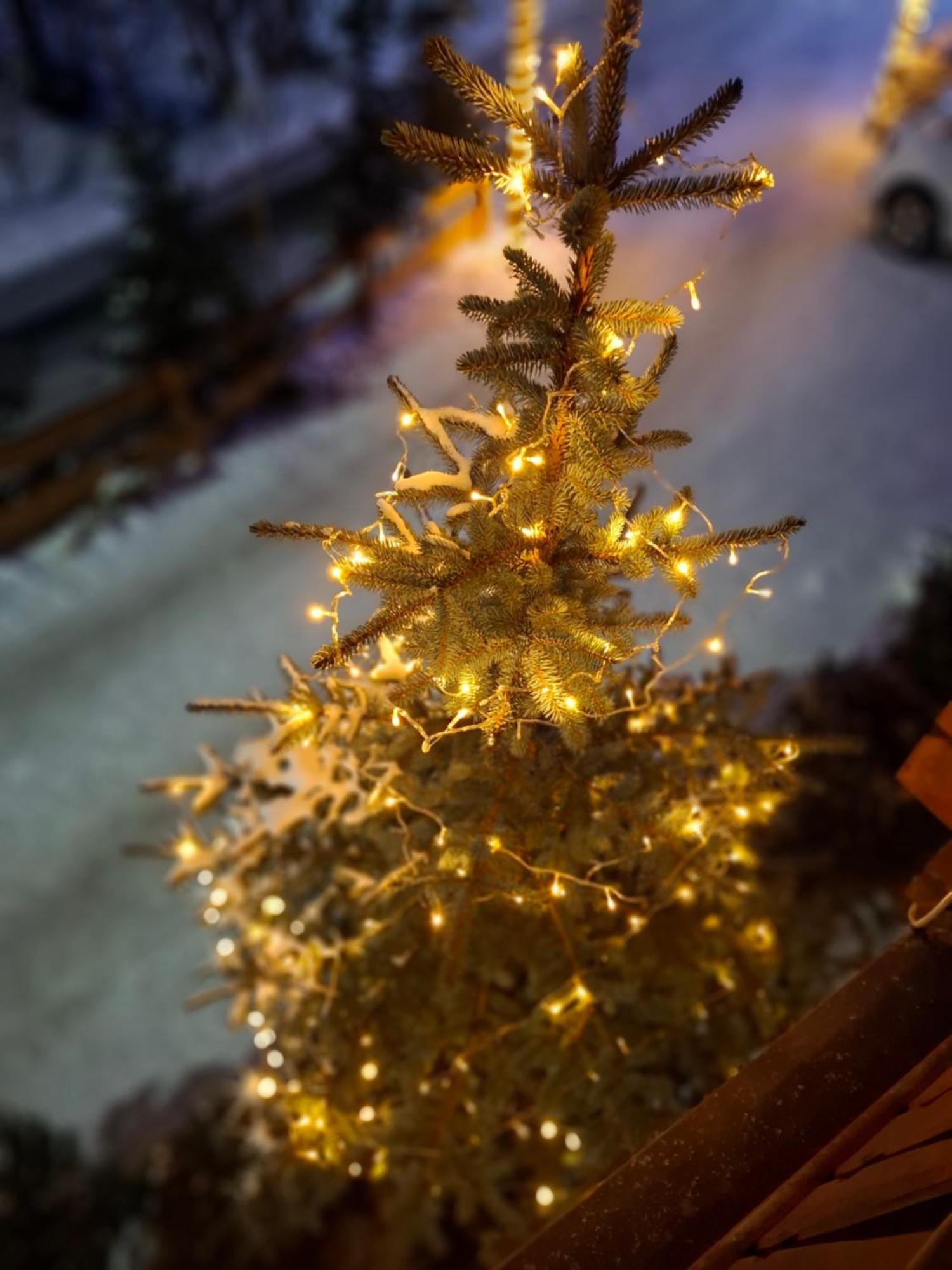 Willa Male Alpy 300 M Od Kompleksow Narciarskich Krynica-Zdrój Extérieur photo