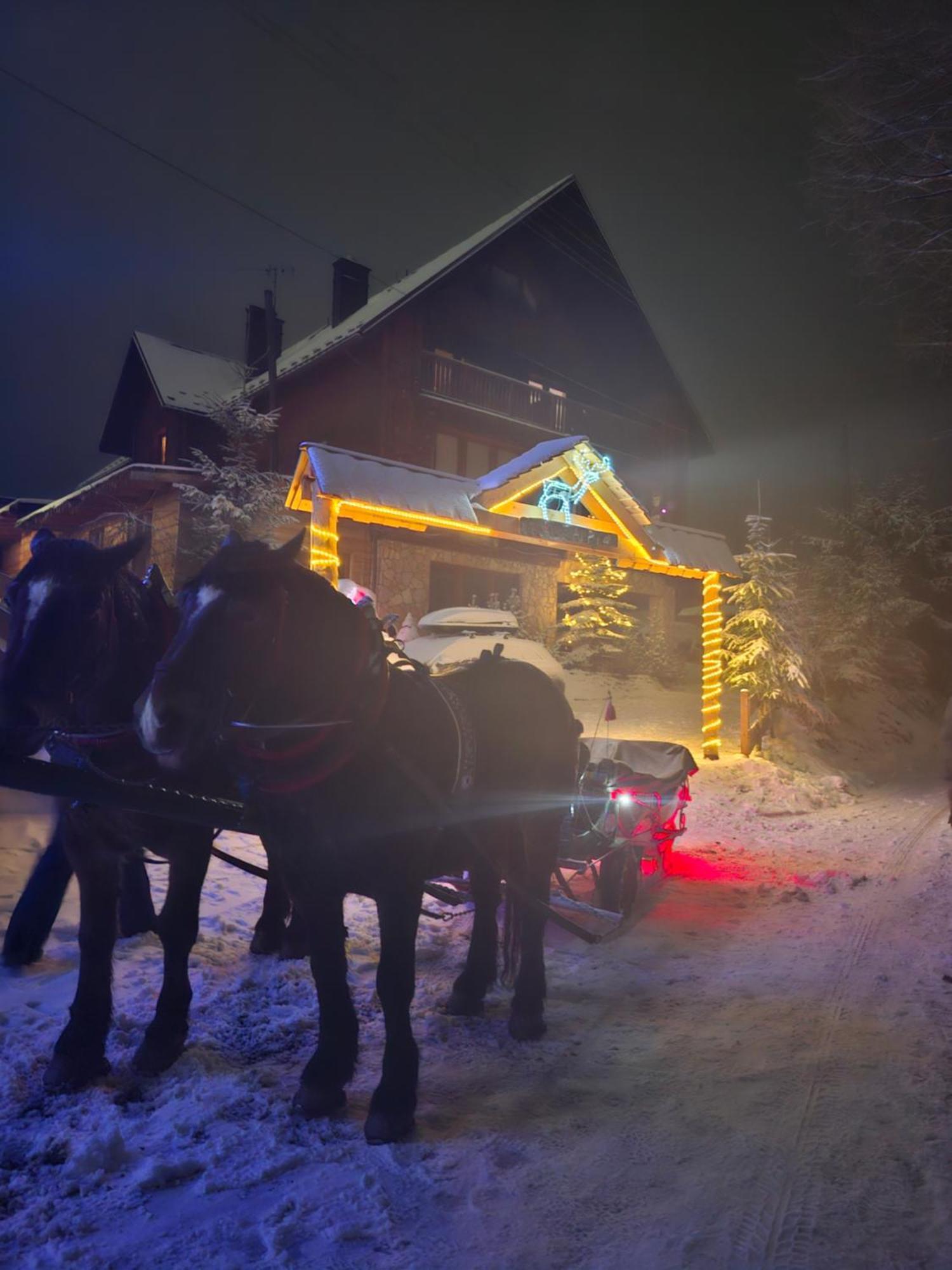 Willa Male Alpy 300 M Od Kompleksow Narciarskich Krynica-Zdrój Extérieur photo