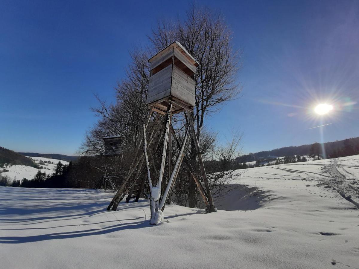Willa Male Alpy 300 M Od Kompleksow Narciarskich Krynica-Zdrój Extérieur photo