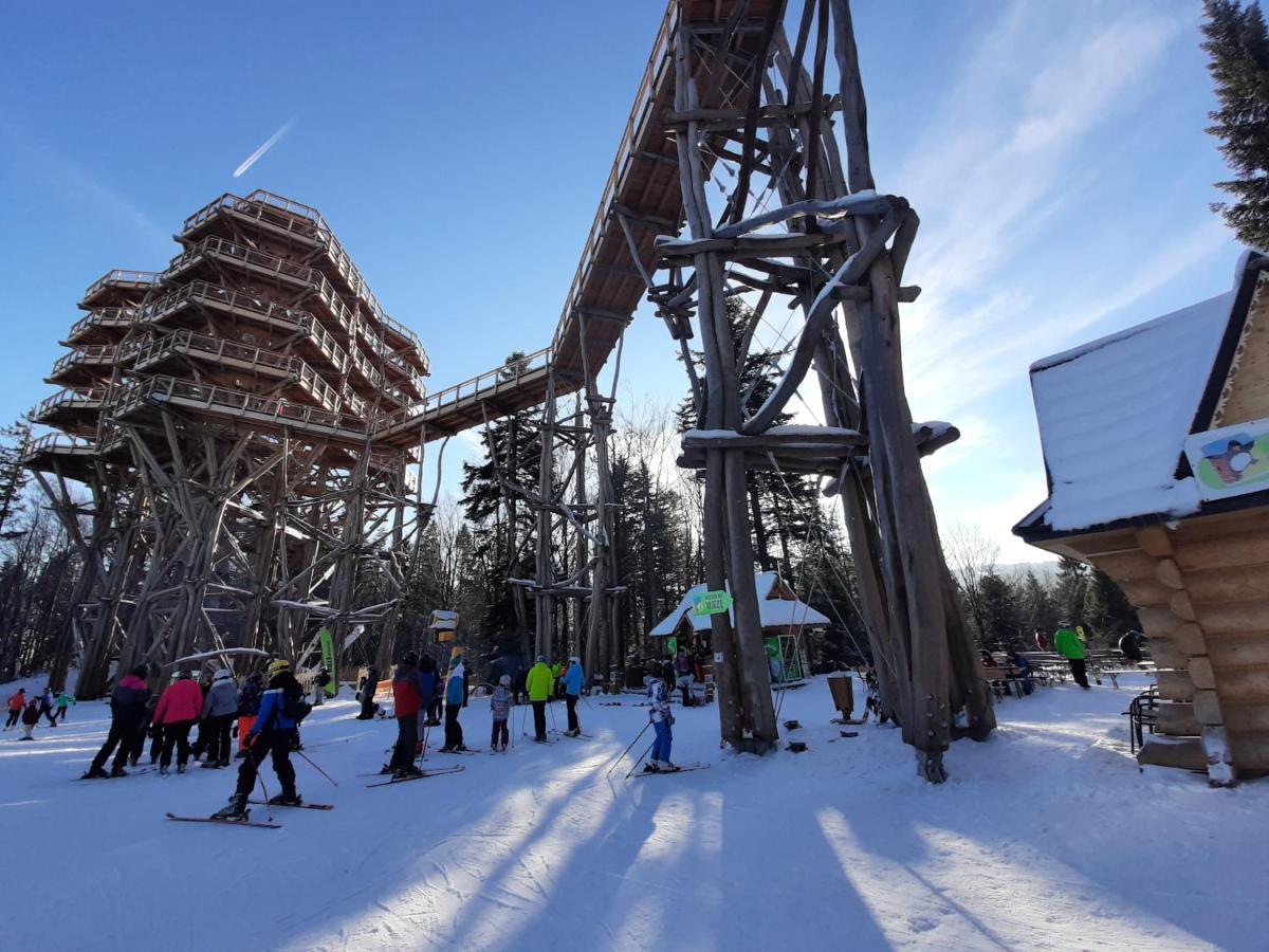 Willa Male Alpy 300 M Od Kompleksow Narciarskich Krynica-Zdrój Extérieur photo